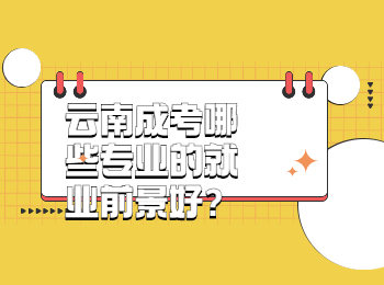 云南成考哪些專業的就業前景好?