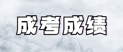 保山成人高考成績查詢