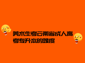 美術(shù)生考云南辛苦專(zhuān)升本的難度