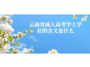 云南省成考學士學位含義