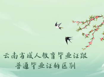 云南省成人教育畢業證